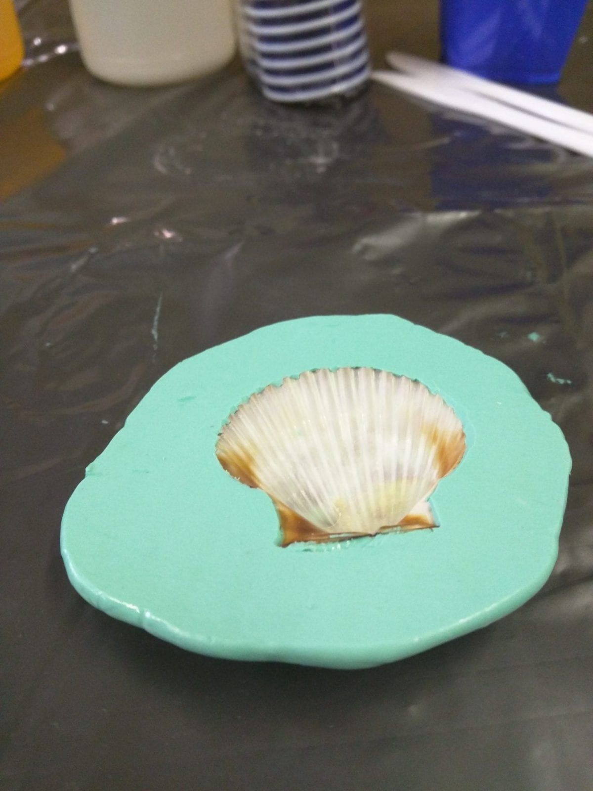 Silicone Putty Seashell Mold for Kids - Aeromarine Products Inc.